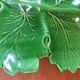 Vintage green leaf slip dish