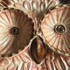 Vallauris ceramic owl trinket bowl