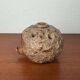 Mid-Century Modern Danish Studio Pottery Hedgehog Candleholder from Sejer Keramik, 1960s