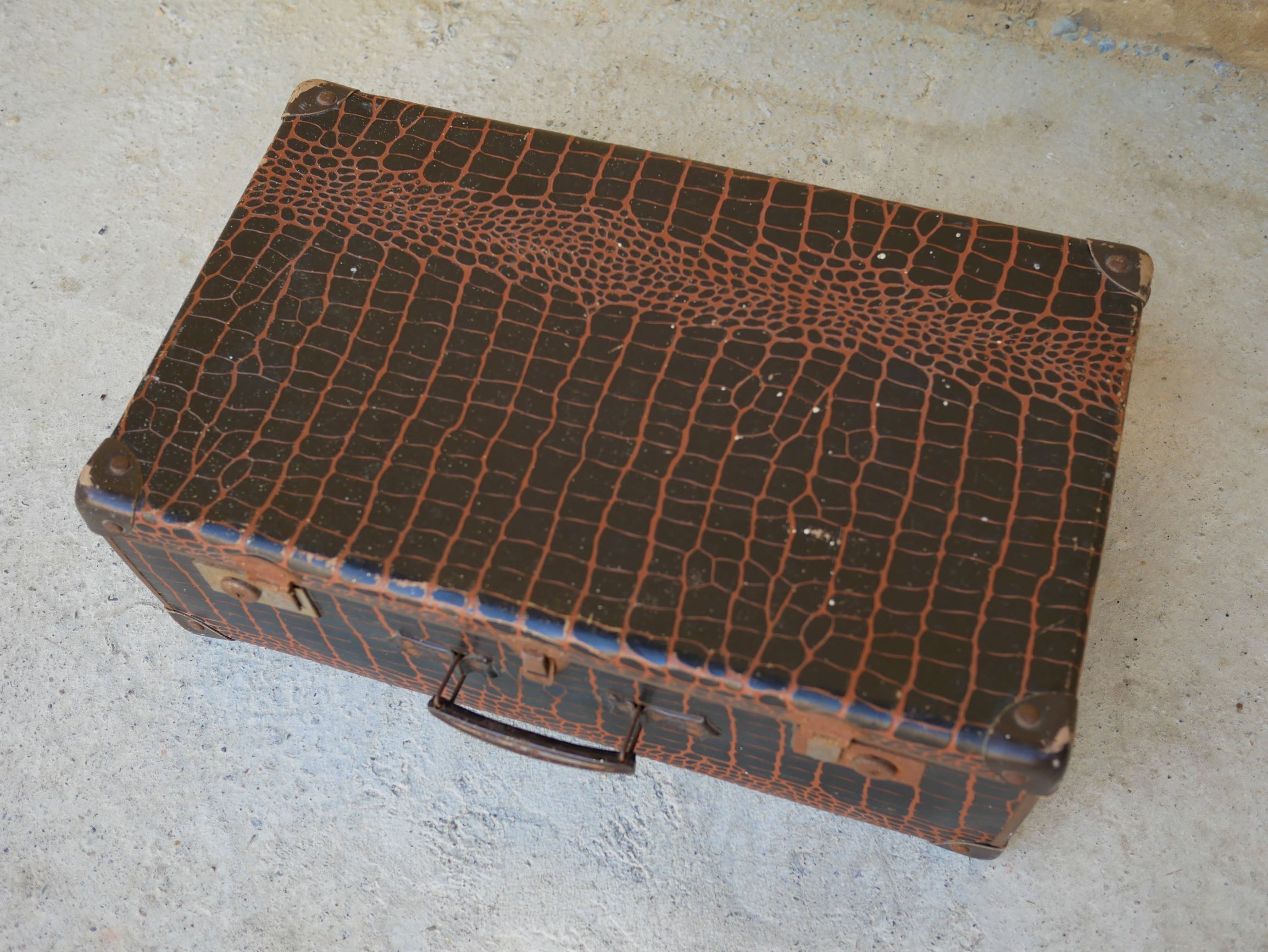 Vintage imitation crocodile case