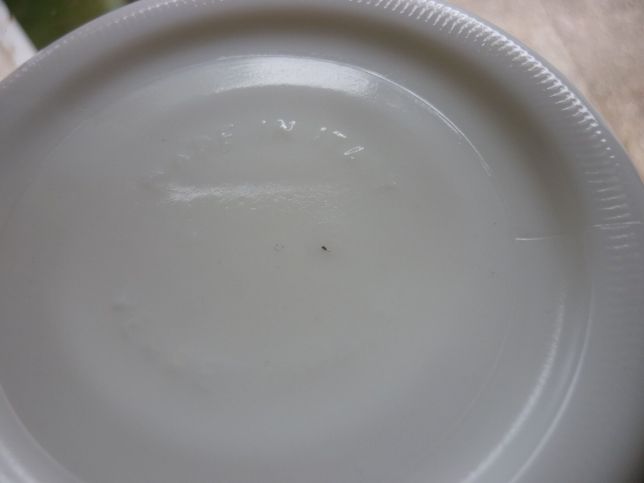 Set of 4 glass jars opal from italy white and green