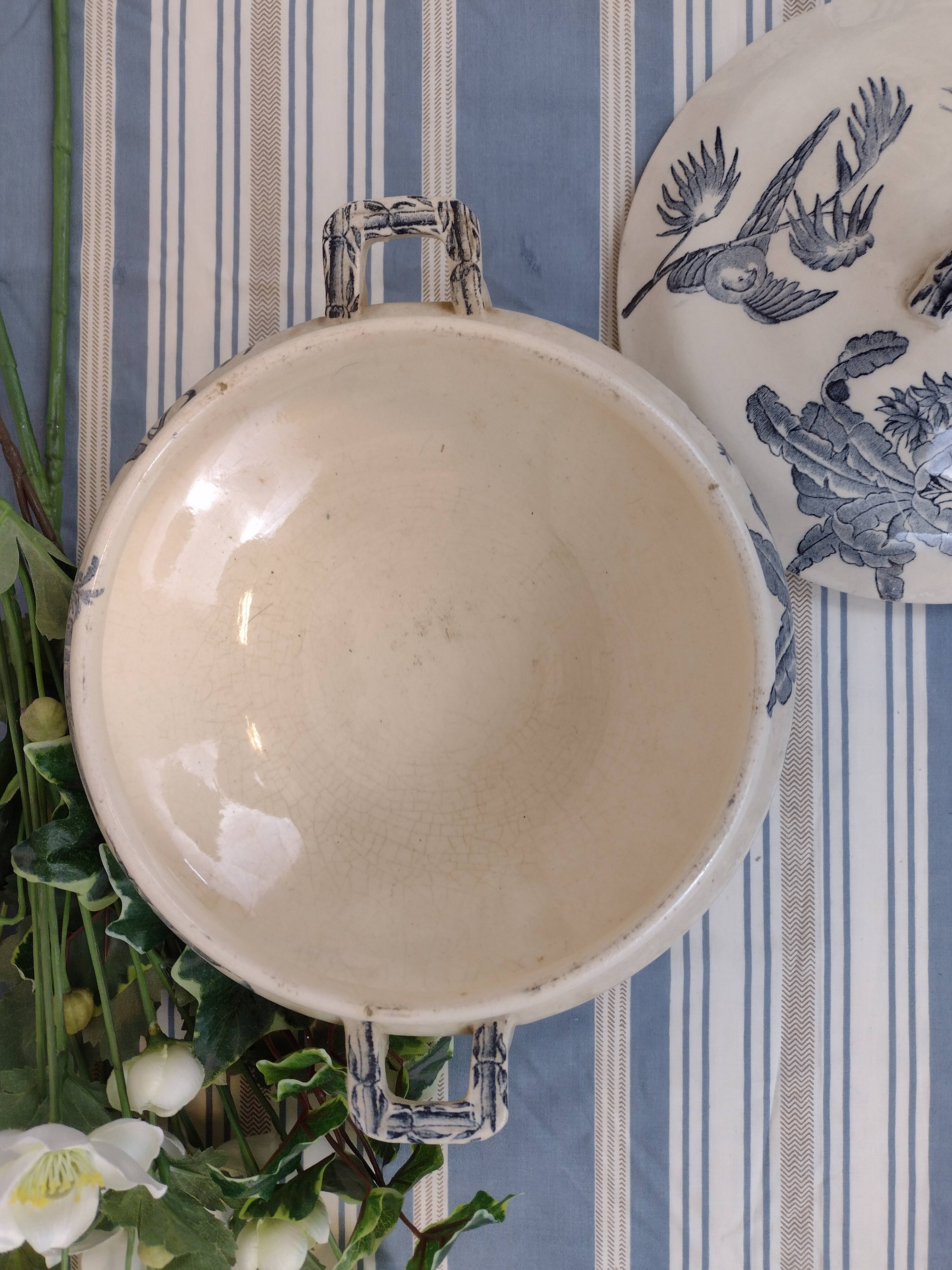 soup bowl longchamp exotic model