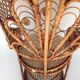 Armchair Emmanuelle Peacock