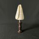 Shell Conus Litteratus on blackened turned wooden base old cabinet of curiosities