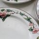 Flat plates 9 earthenware, model Palermo de Villeroy and Boch