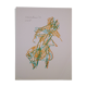 Eau forte - aquatinte - Bernarnd childs - Noel 1983