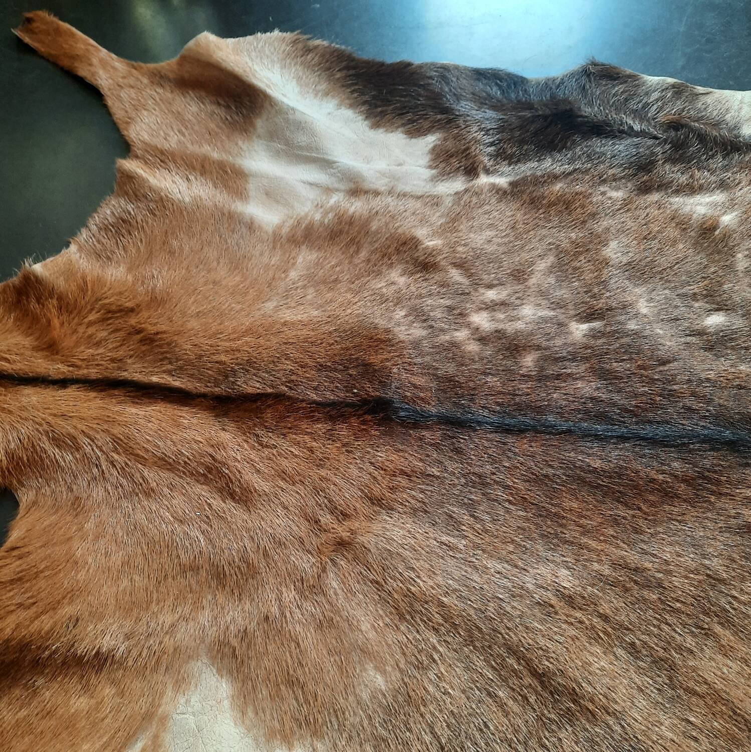 Goat skin 135 cm x 88 cm
