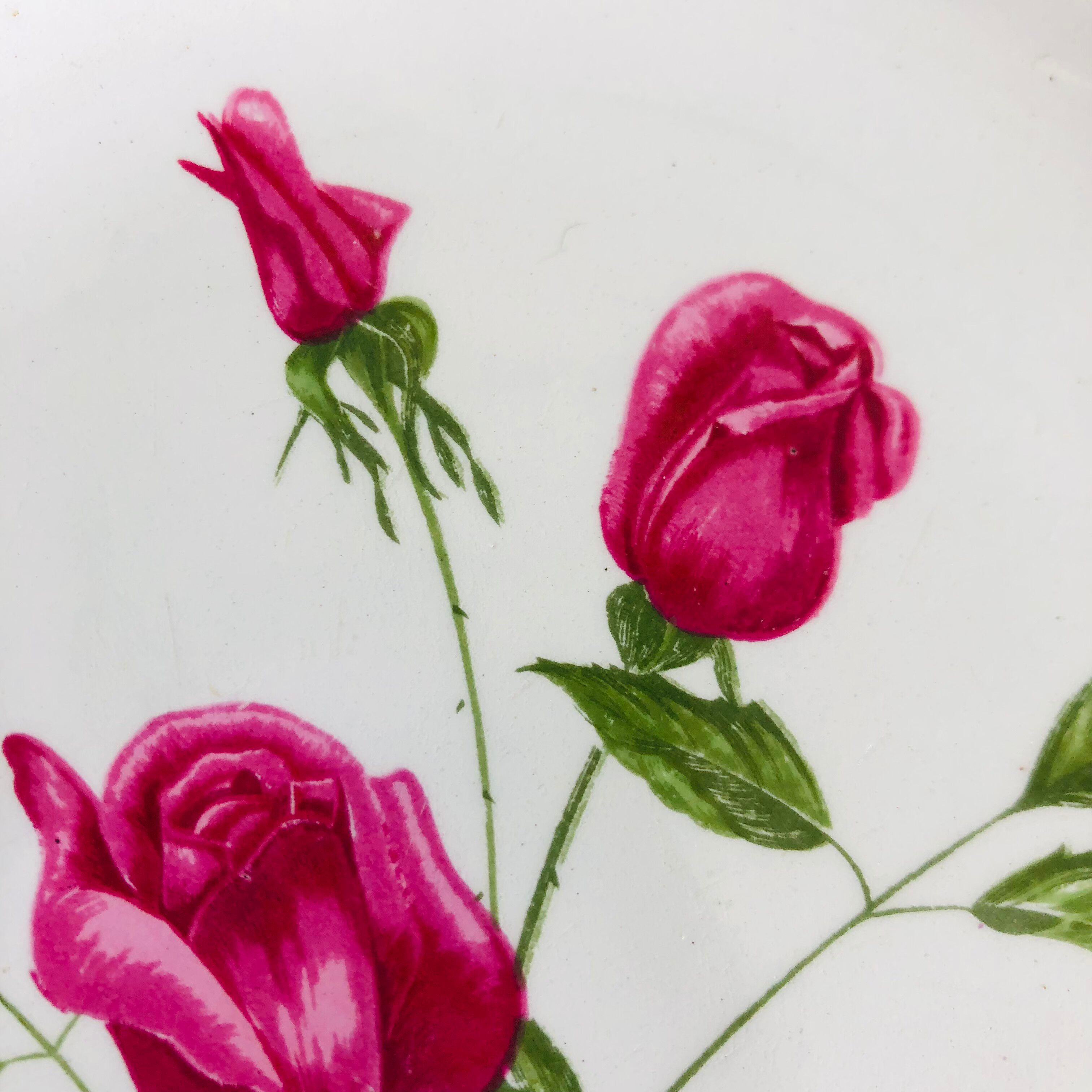 Plate by Amandinoise with a floral art deco rose motif.