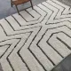 Large Beni Ouarain rug, 295 x 215 cm, G-384