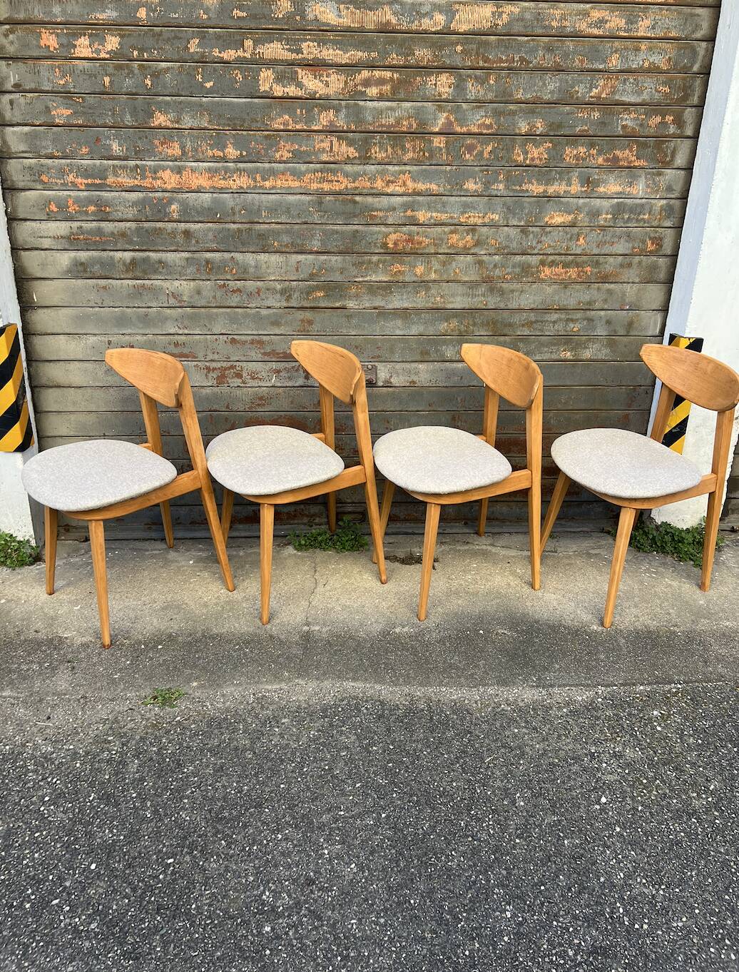 (Lot) 4 chaises Baumann Fontania (restaurées) 1960