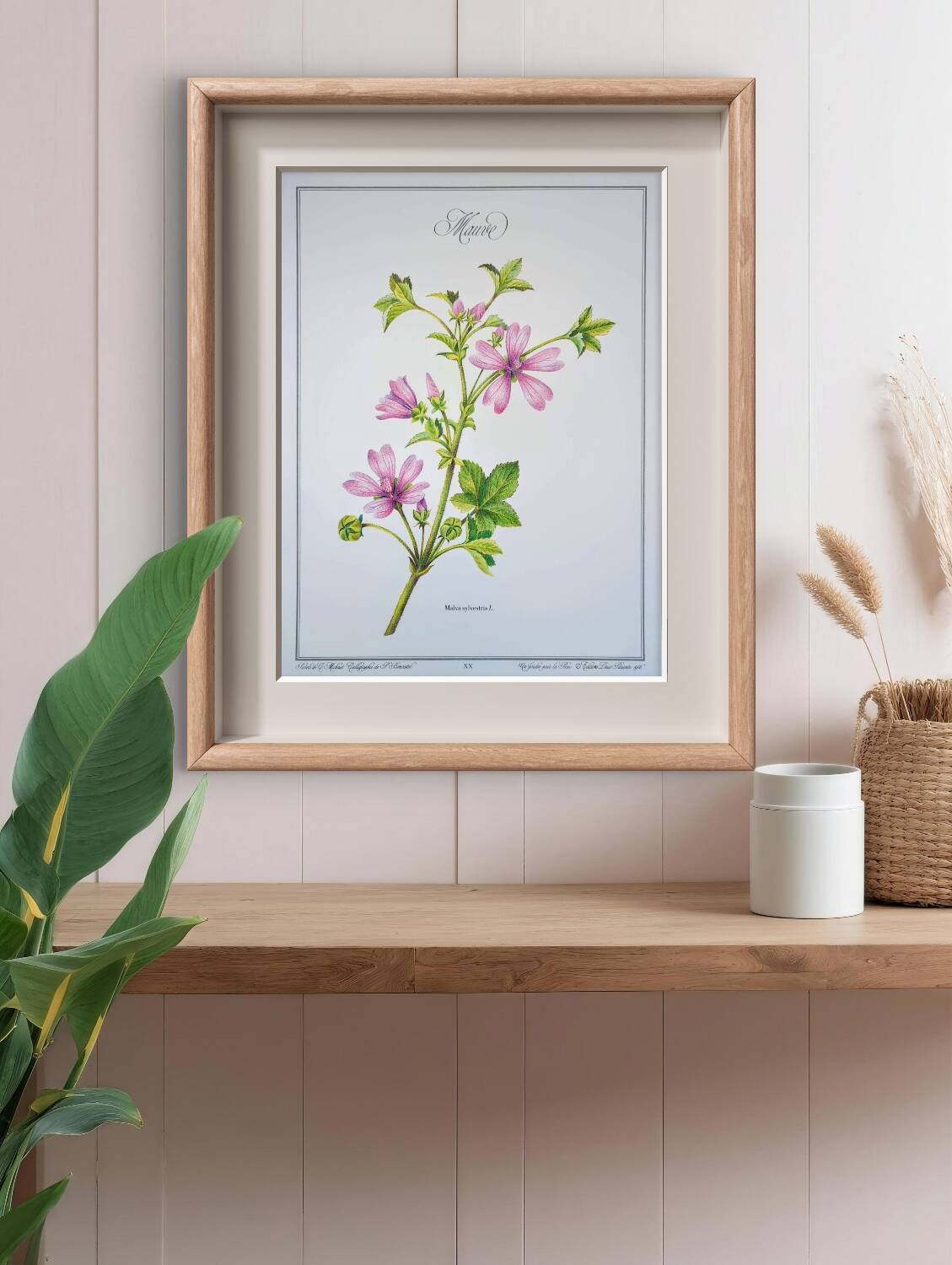 Printed in 1986, the Mauve. Vintage Botany.