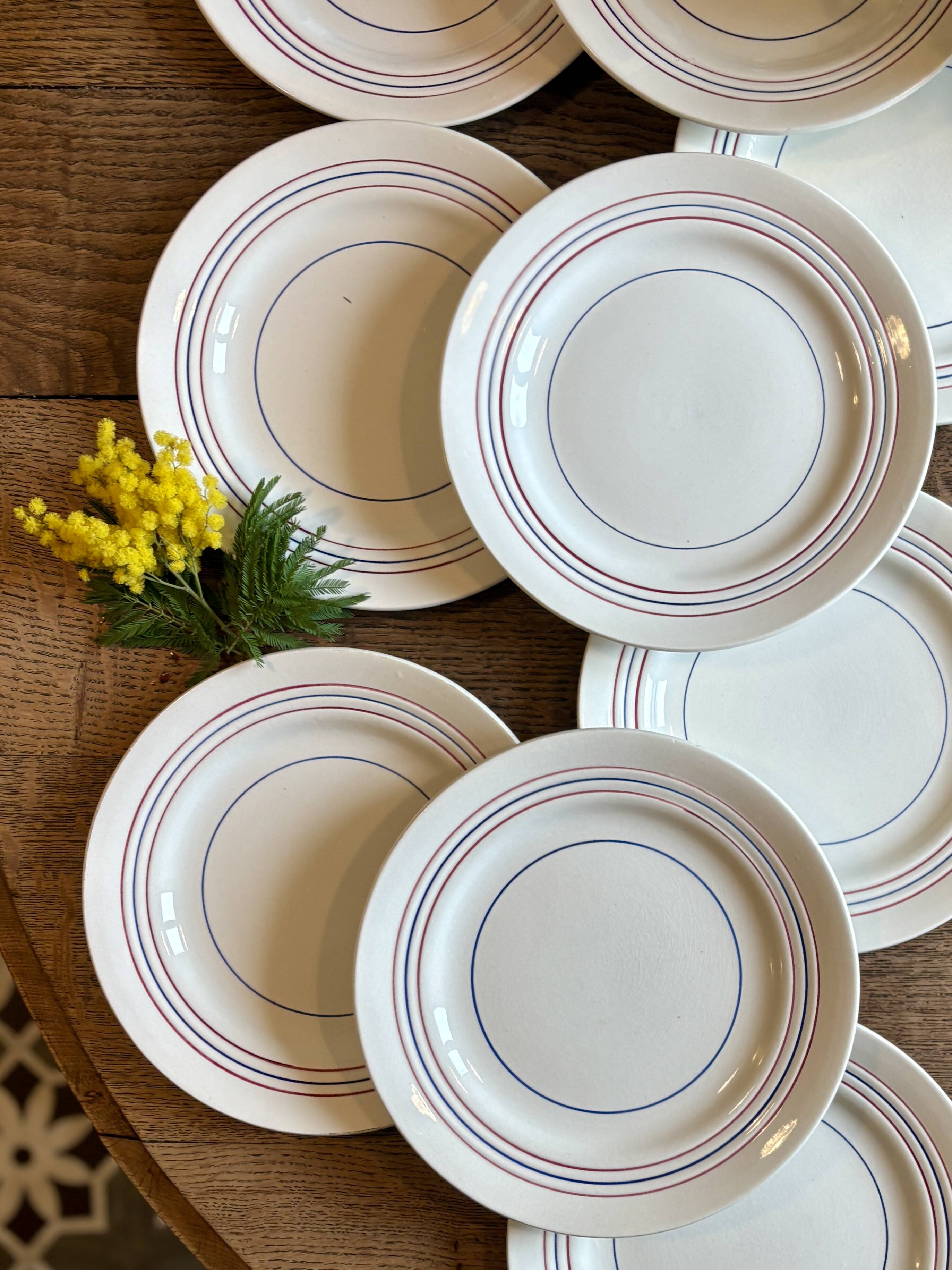 Set of 10 vintage flat plates in semi-porcelain Céranord.