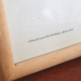 Vintage bird illustration