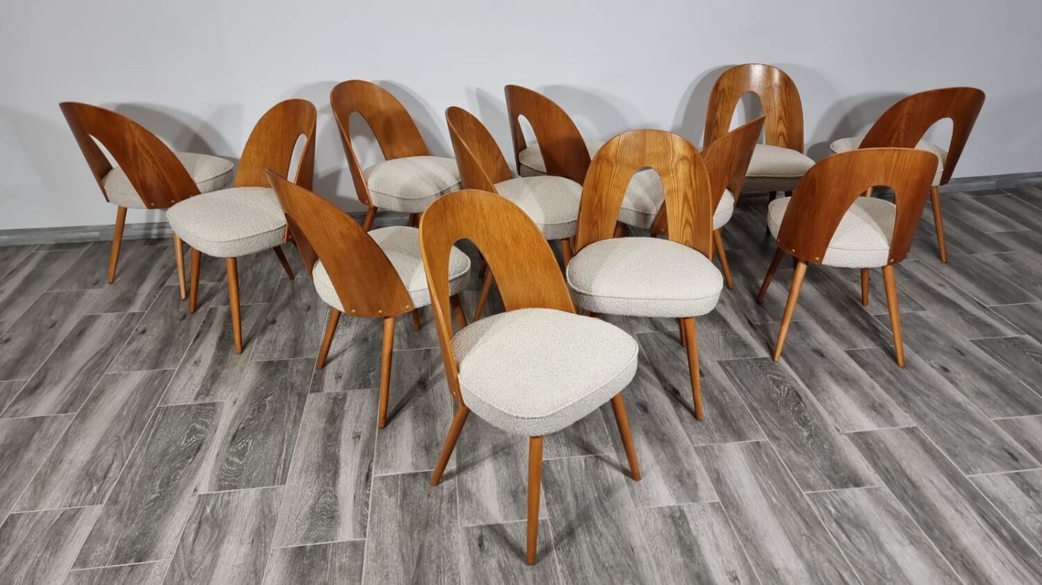 Dining Chairs from Antonin Suman, 1960s, Set of 12