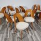 Dining Chairs from Antonin Suman, 1960s, Set of 12