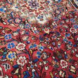 Iranian wool rug - Handmade - 274x158cm