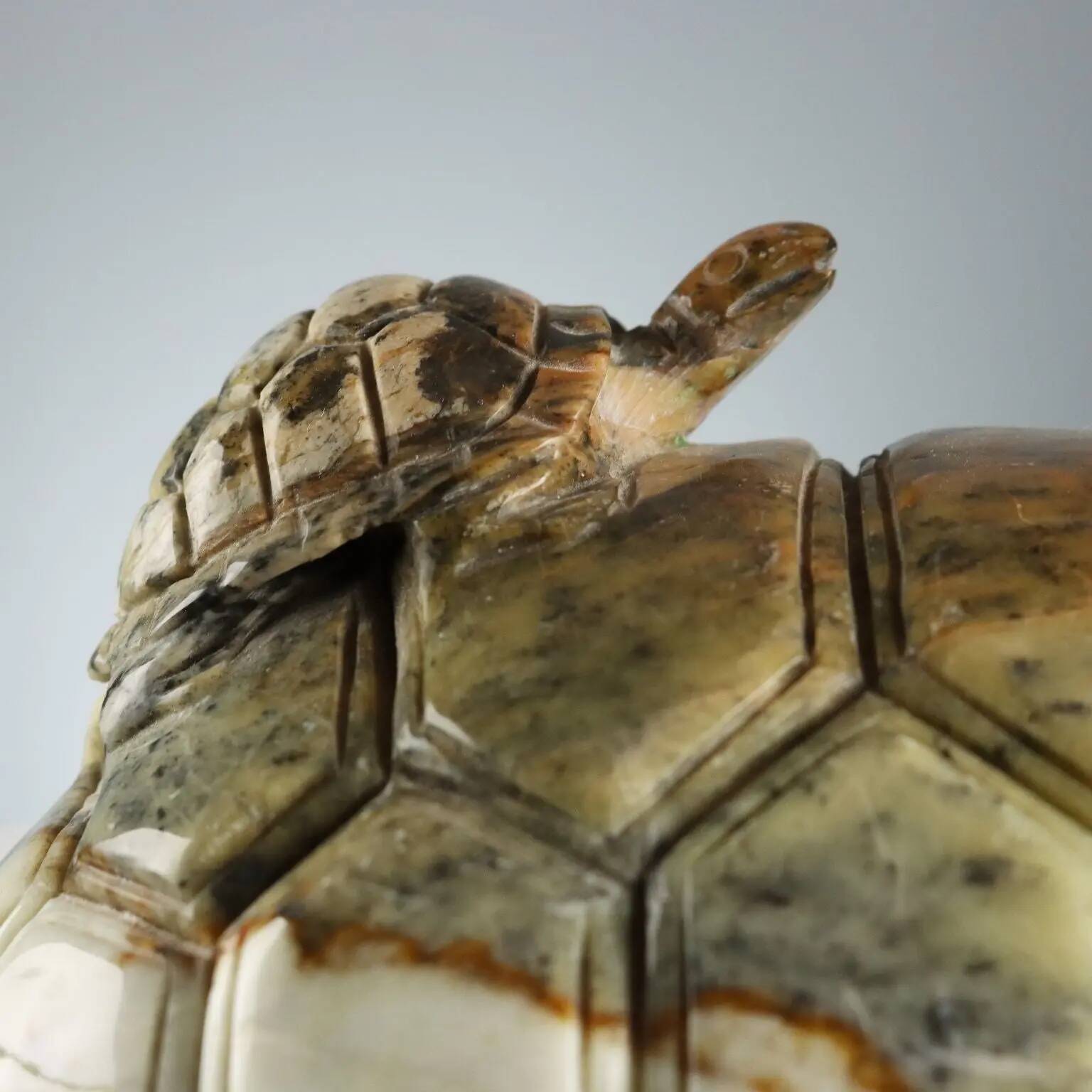 Modern sculpture of a turtle in hard stone, Italy, 20th century