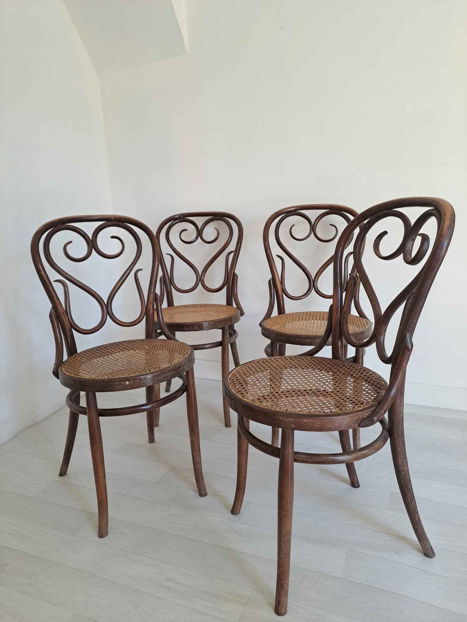 Bentwood chairs made by Sautto and Liberale