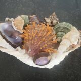 Centre de table vintage en coquillages naturels