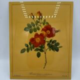Vintage lithograph