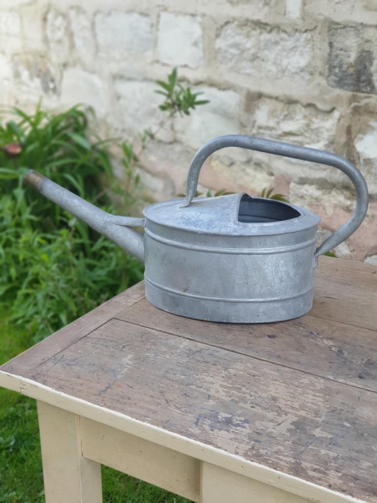 Zinc watering can