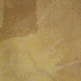 Desso carpet