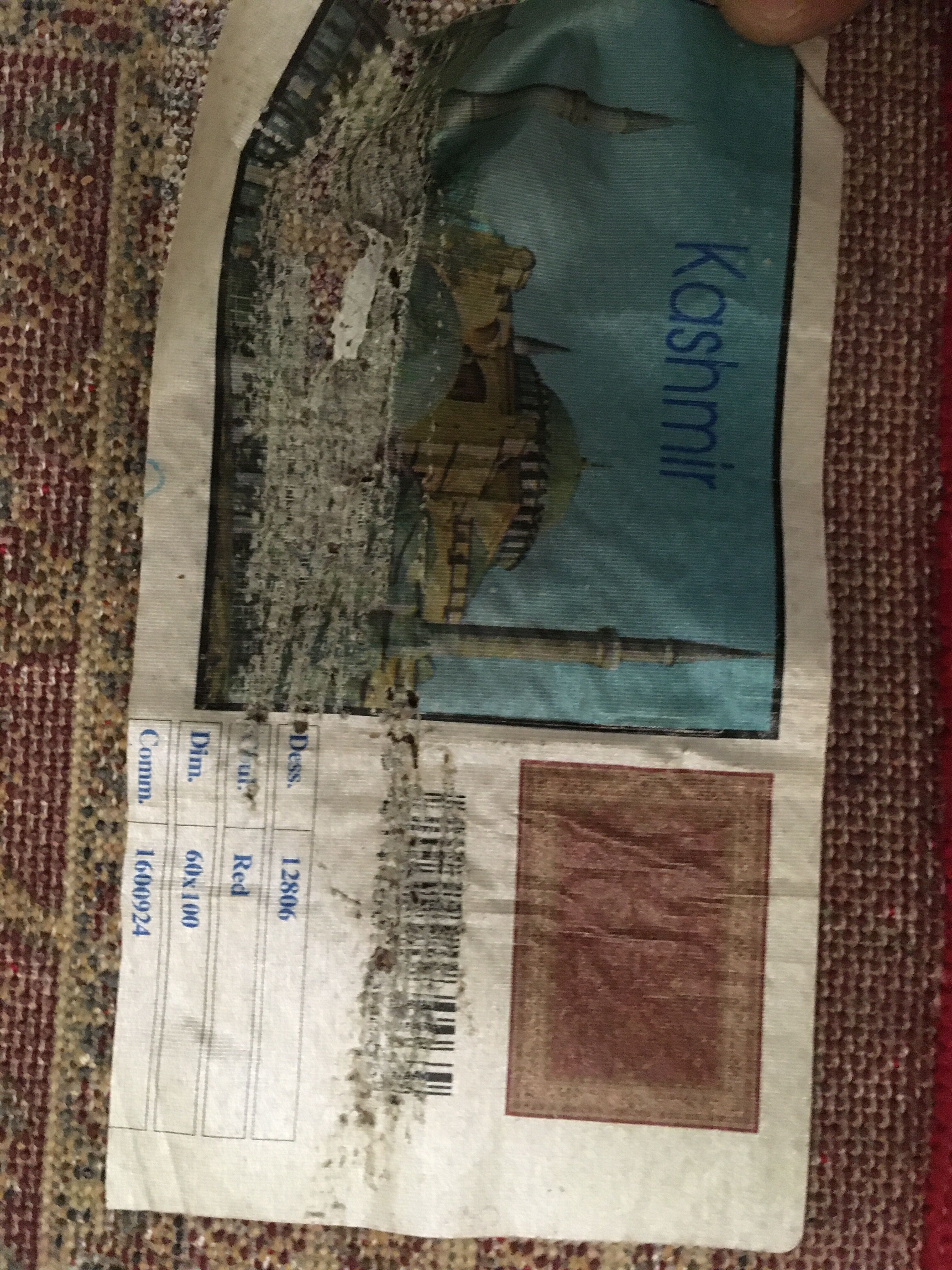 Kashmir Entry Carpet 100x60cm