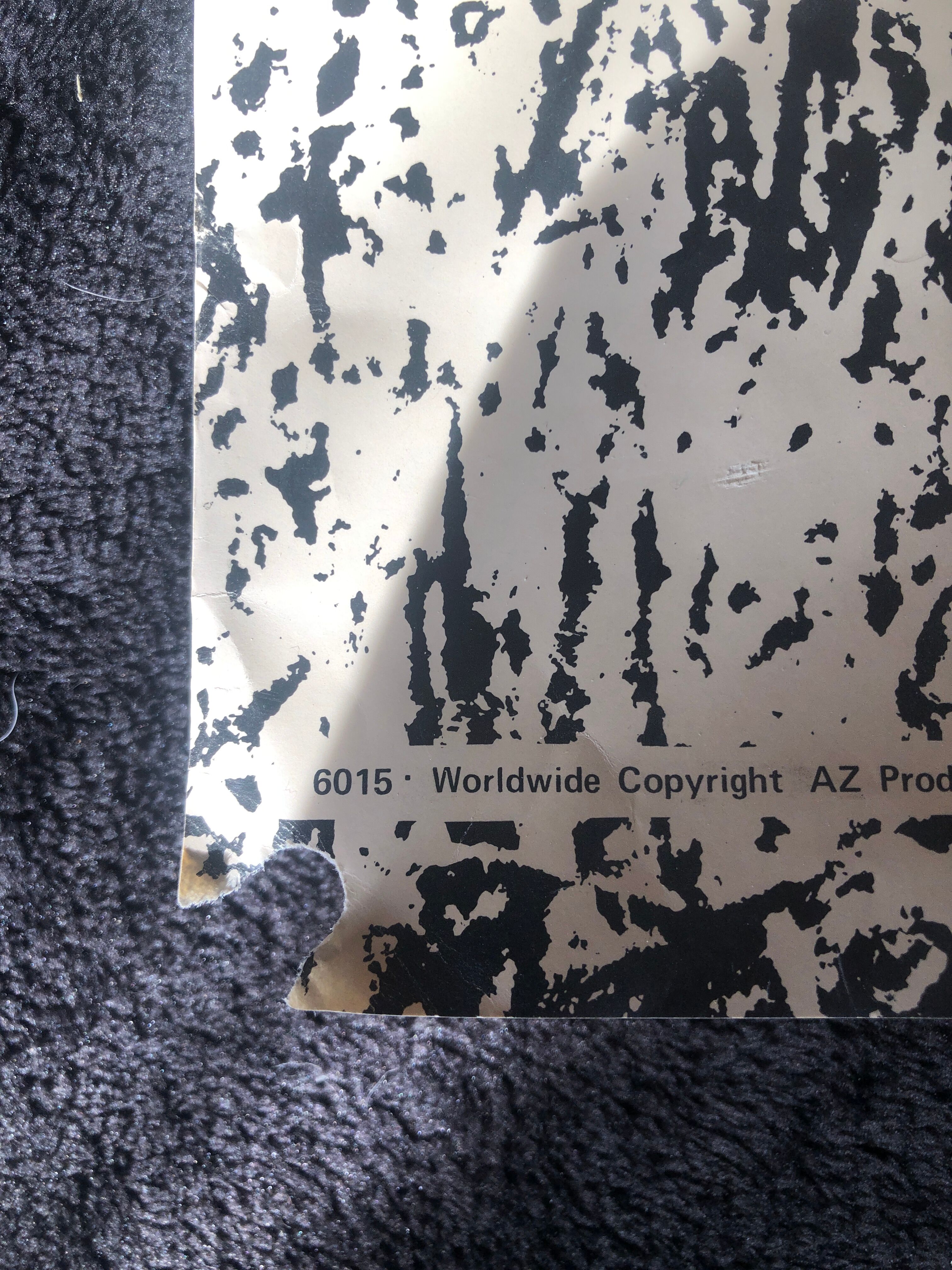 Poster WHY? Vietnam War