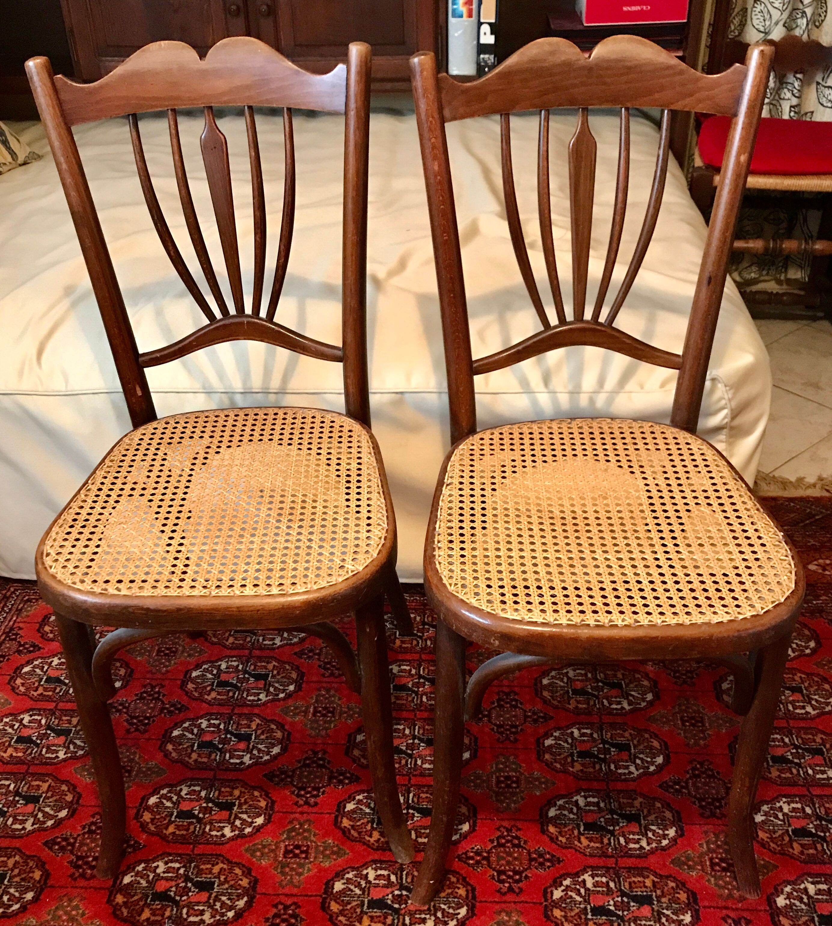 Paire de chaises fischel