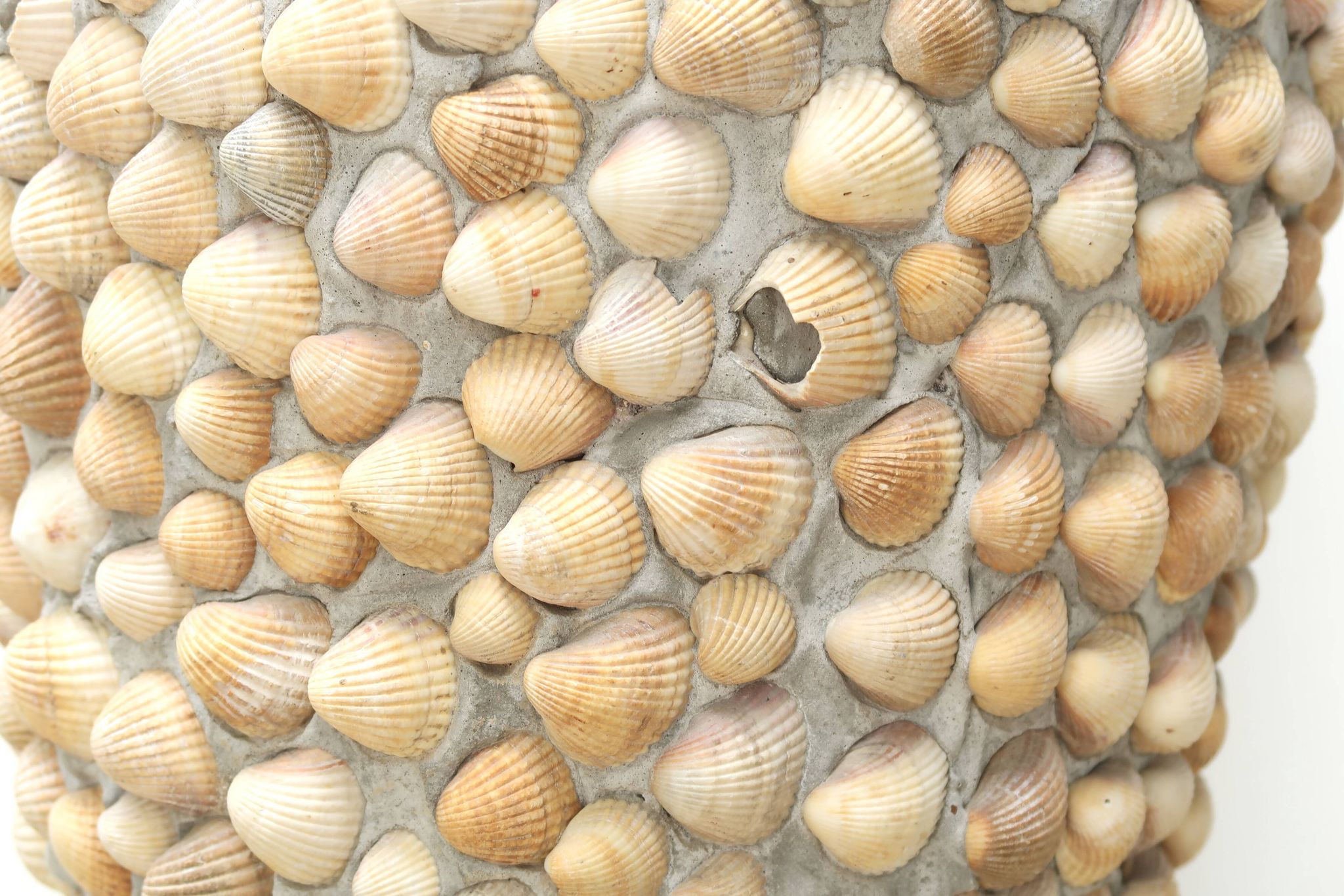 Jarre à anses en terre cuite et coquillages