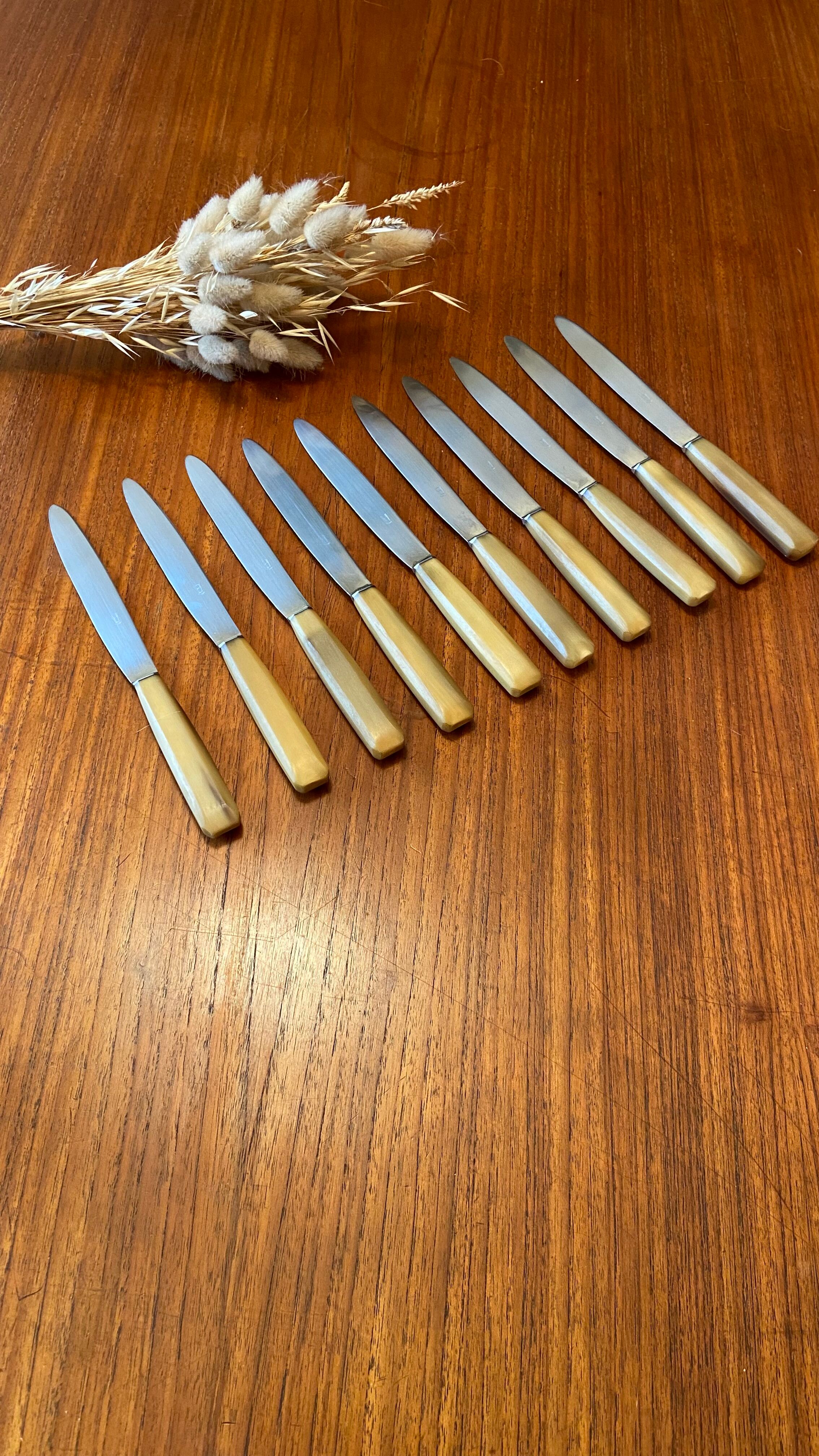 Christmas Pop-up 2022 - Set of 10 Vintage Horn Knives