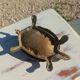 Vintage bronze turtle ashtray
