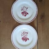 2 Digoin Sarreguemines Rolande dinner plates