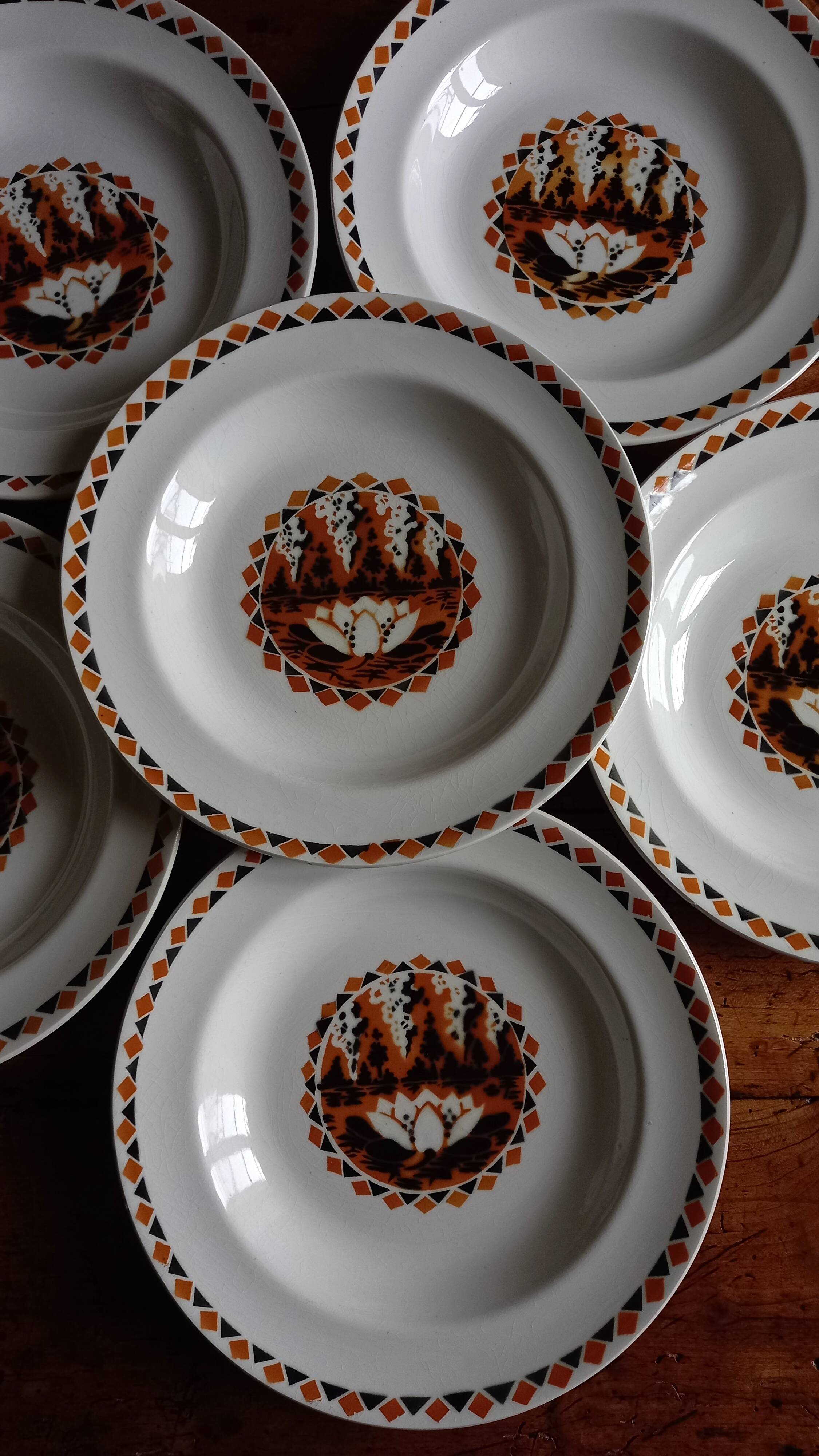 Set of 10 large ironstone plates Art Deco Saint-Amand Water Lily