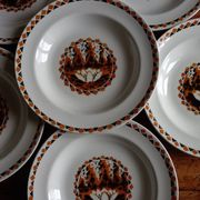 Set of 10 large ironstone Art Deco plates Saint-Amand Water Lily