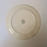 22 Antique Villeroy & Boch Celadon Dinner Plates