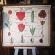 Large Botanical Nightingale Poster
