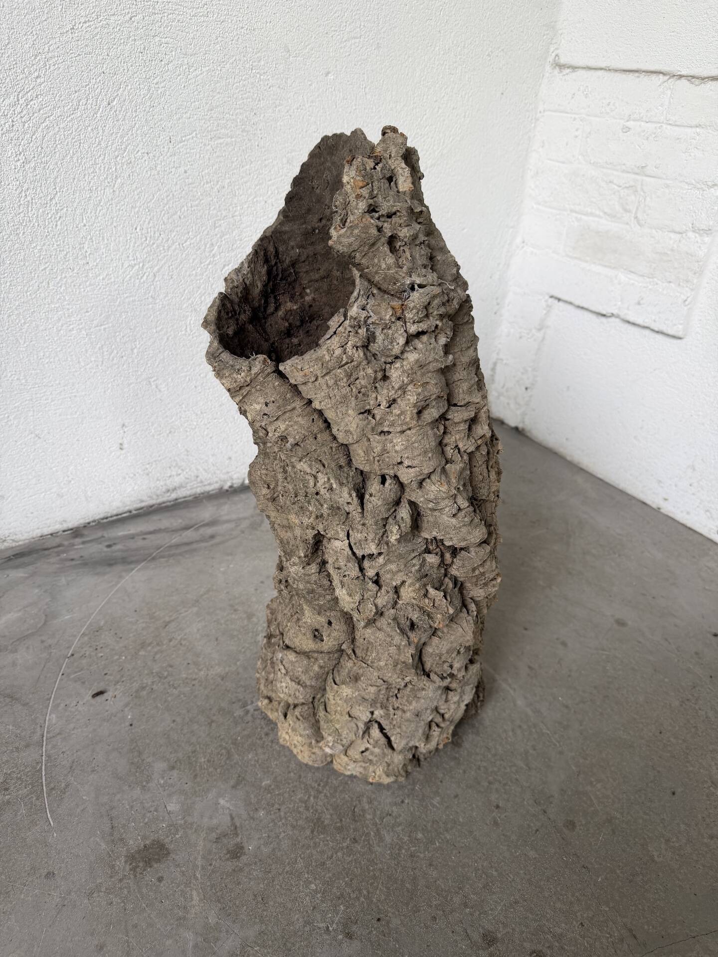 XL cork bark vase