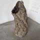 XL cork bark vase