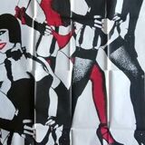 Poster Crazy Horse Paris 98x310 cm