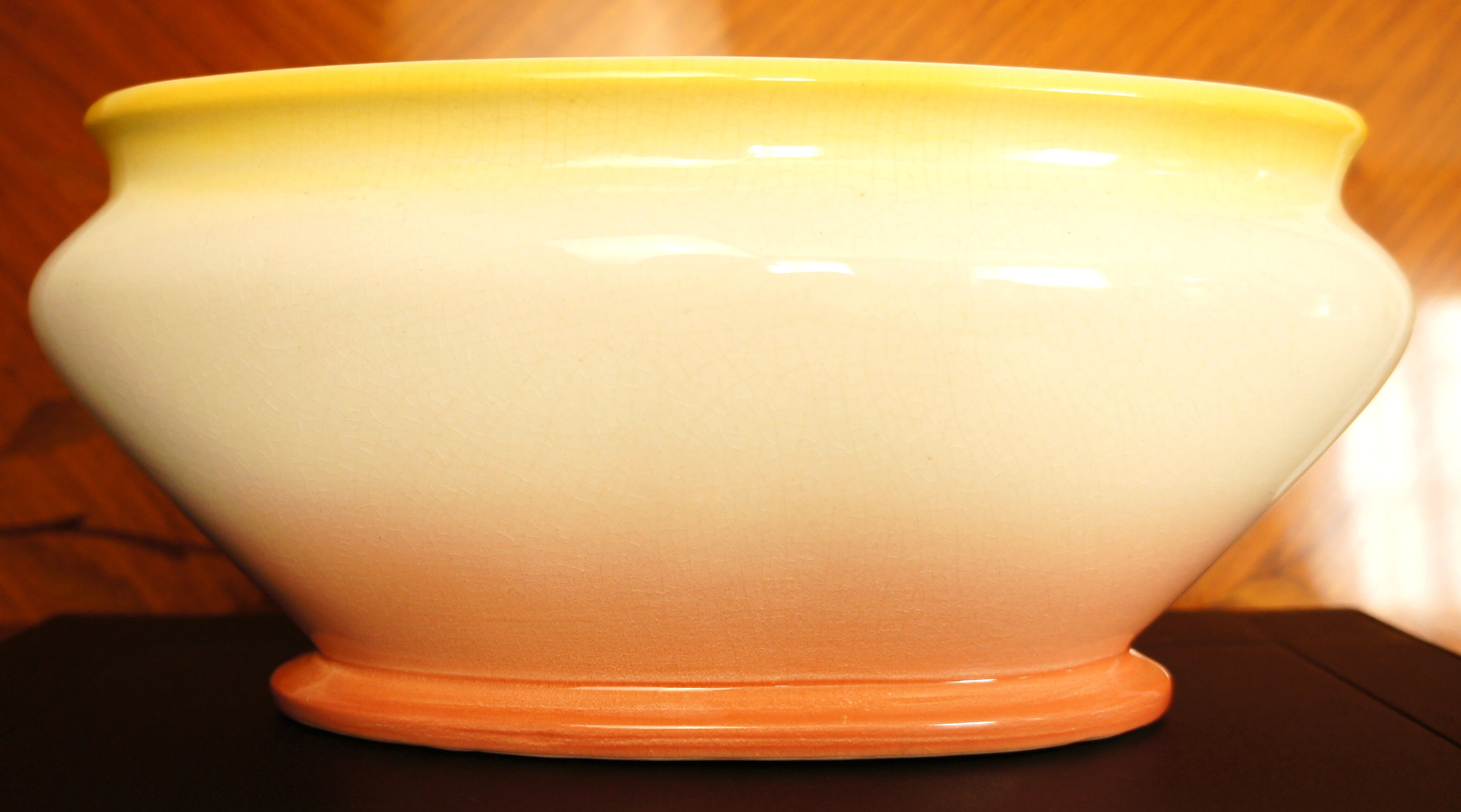 Gardener Gustave de Bruyn