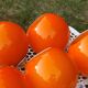 Set of 5 orange glass ball pendants from the 70s
