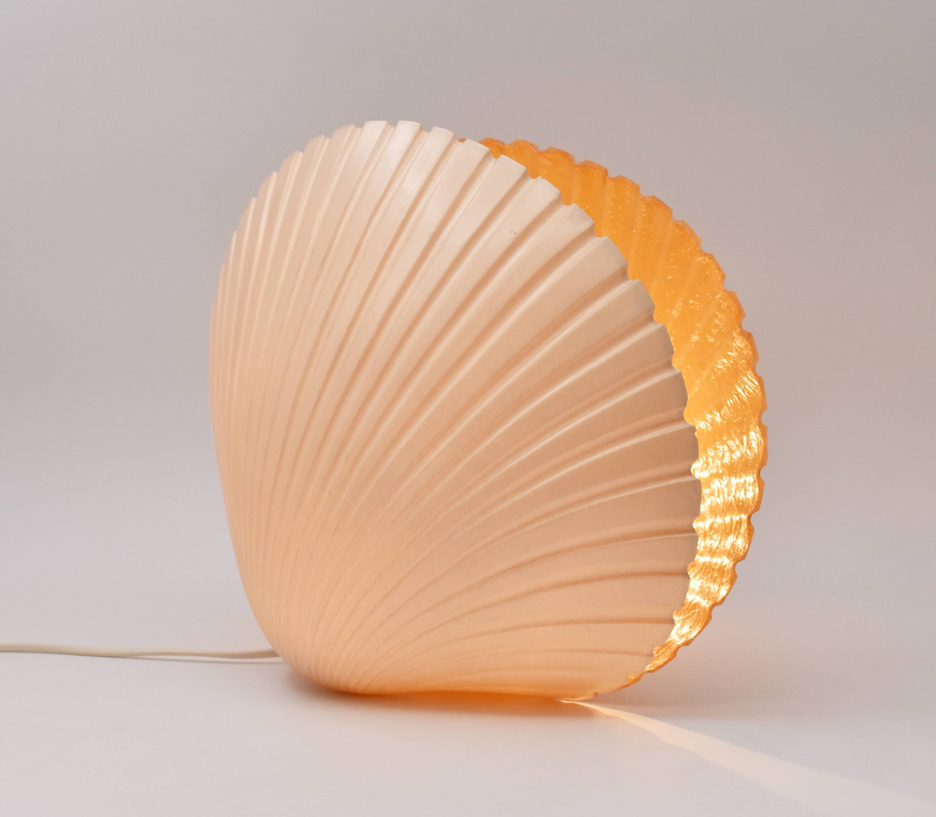 Lamp shell Saint Jacques fiber