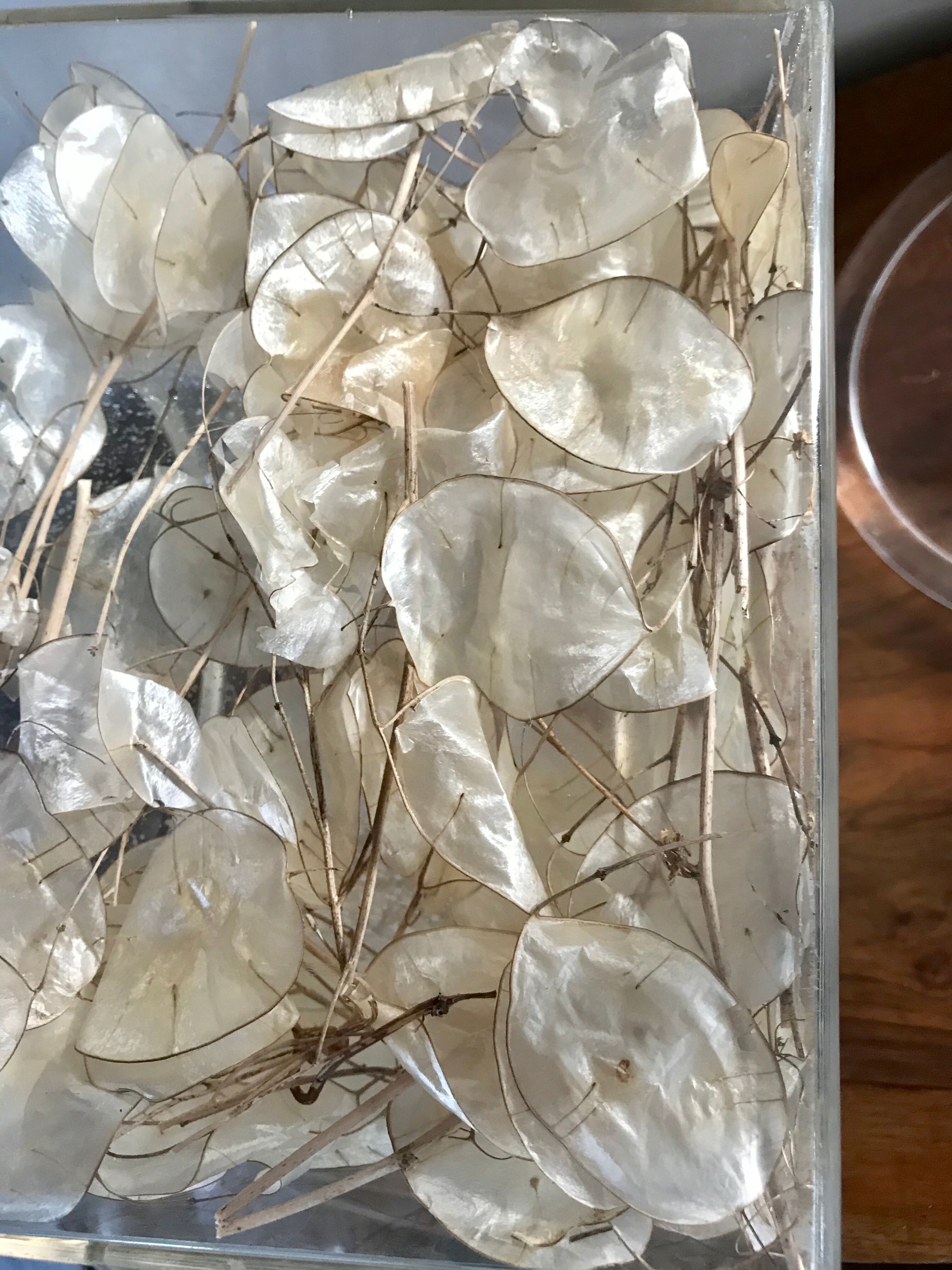 Vintage Dior ice bucket