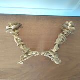 Pair candlestick palm wood and gilded metal