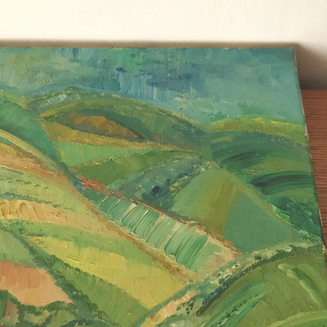 Cerdon's green and wine landscape picture