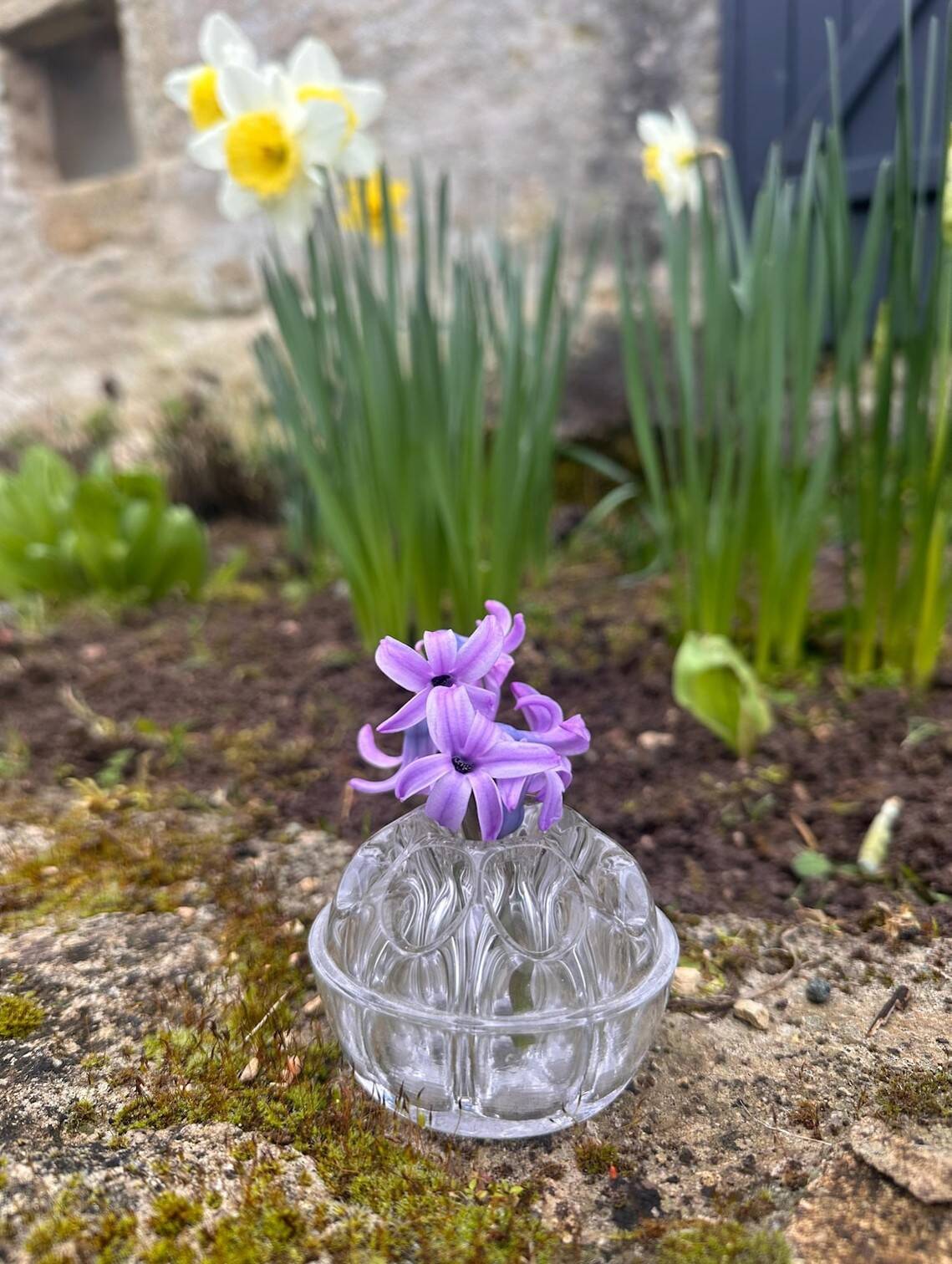 Medium-sized antique flower holder in transparent moulded glass, vintage.