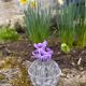 Medium-sized antique flower holder in transparent moulded glass, vintage.