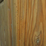 Old Icehouse of Bordeaux