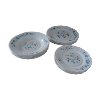 18 Blue Flower Plates VERONICA Arcopal Vintage Lot EB